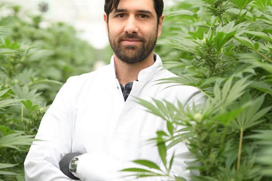 CBD legalus Lietuvoje kanapes legalumas ES