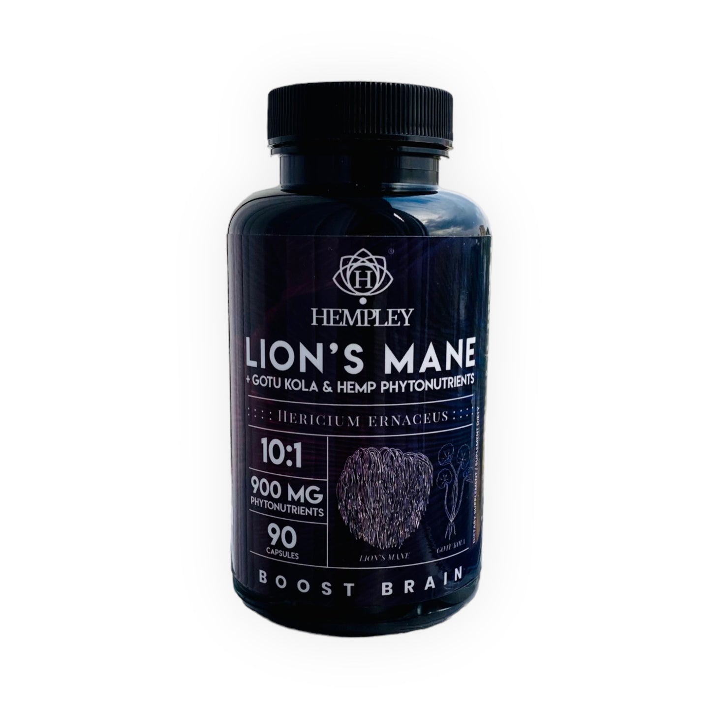 Lion’s Mane Boost Brain Kapsulės