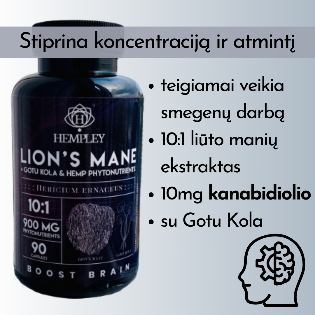 Lion’s Mane Boost Brain Kapsulės